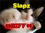 sLaPz army