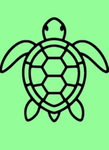 Turtle-Productions