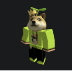 - doge’s cool Pog group -