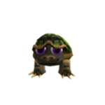 Crazy Turtle Man