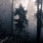 Ethereal Style