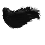 Poofy Tail (Down, Black)