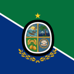 Government Forces