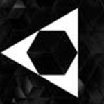Vertex Organization