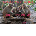 Respect'S Gang