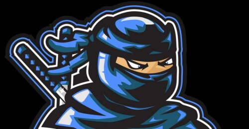ninja⚔️simulero