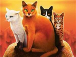 Wariors Cats clans