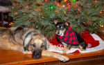 a Fren Group of people