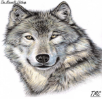 The Maxwells Clothing