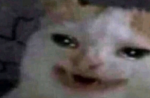 qcyo