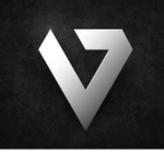 Vanguard Security Corporation