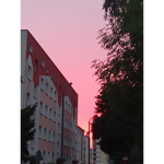 PolskieKoksy