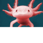 Los pasa robux