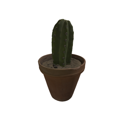 Cactus