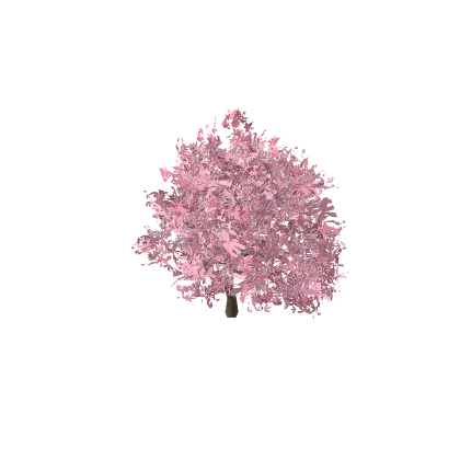 pink tree