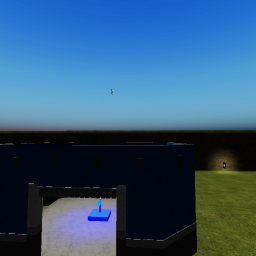 Capture the flag