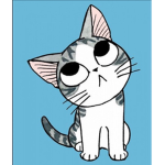 Le monde des chaton