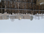 The Snowball Group