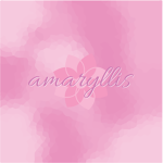 Amaryllis Modeling Agency