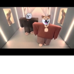 The fun doges