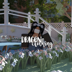 ~ dragon clothing ~