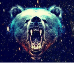 Elite Bear