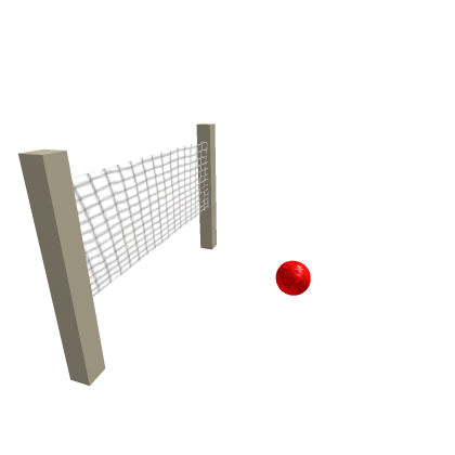 beach net