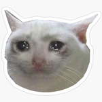Crying cat