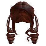 Cute Warm Brown Pigtails