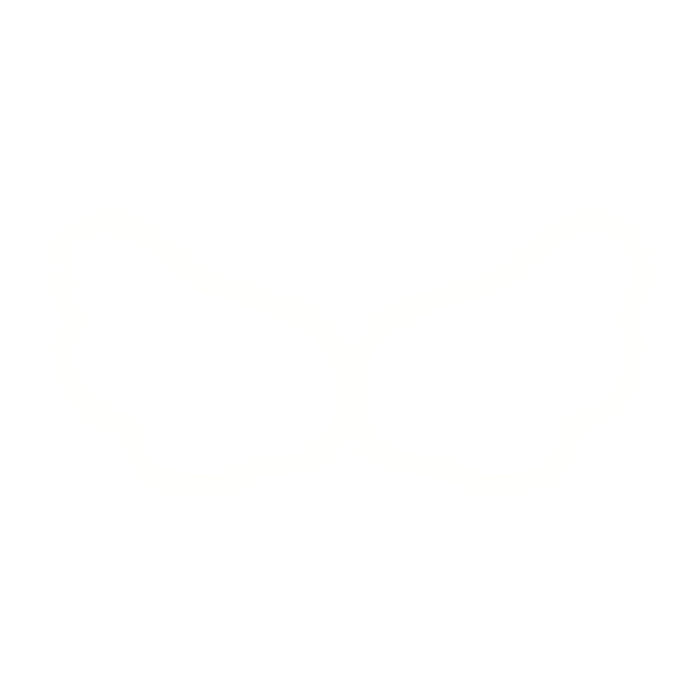 Glowing Angel Wings 