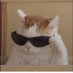 - COOL K!DS -