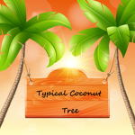 The Typical Coconut Tree