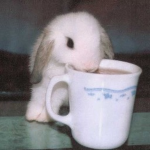 cuddleѕ