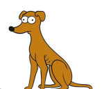 Group of dog’s