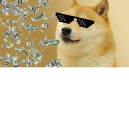 Doge Chill Area