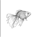 Official Goldfish