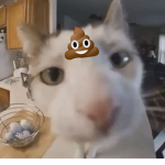 poop party club