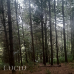 LUC1D