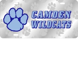 Camden county K-12 [CAMPUS] ON PS5 AND XBOX icon