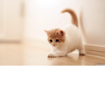 helllooooooooooooo