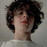 timothee chalamet is hot