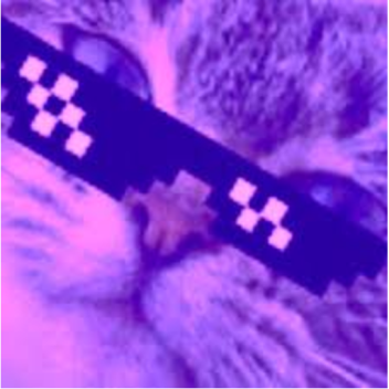 drimcor wirdcor trip 2