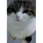 Wahn