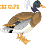 Ducks Cafe