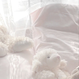 ꒰𝓬𝓸𝓺𝓾𝓮𝓽𝓽𝓮꒱୨ৎ˚. ꒰𝓓𝓸𝓵𝓵꒱୨୧ ♪ ˚