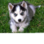 HAI WHY U LOOKIN AT DIS :P HUH YUH WUT I THOUGHT