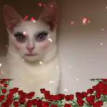 CatMonarch