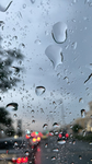 rainy dream