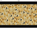 Doge support