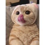 Sup Dudes.
